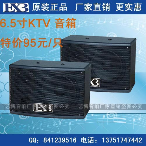 艺博 DK-605套装 家用卡拉OK音箱 KTV音箱 卡包音响 会议教学音箱
