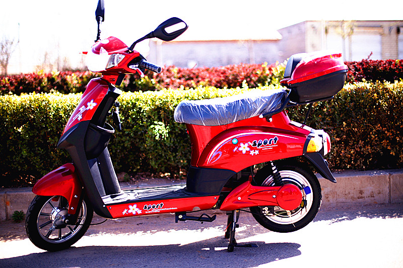 特价完美48V16寸标准型(1500元以上) 双人电动自行车电动摩托