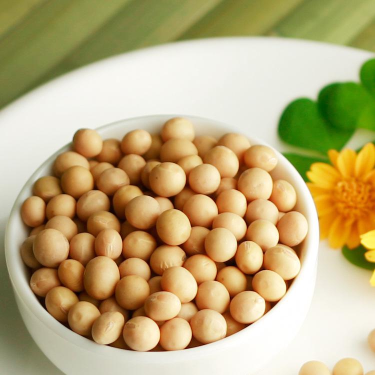 健康绿色 有机杂粮黄豆 豆浆专用大豆 全豆 非转基因食品 包邮