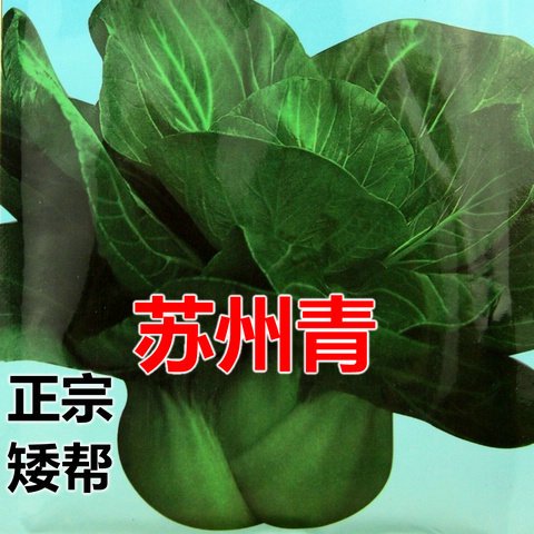 正宗矮帮苏州青 青菜种子 吃口香糯 菜艺林绿叶蔬菜种子特卖