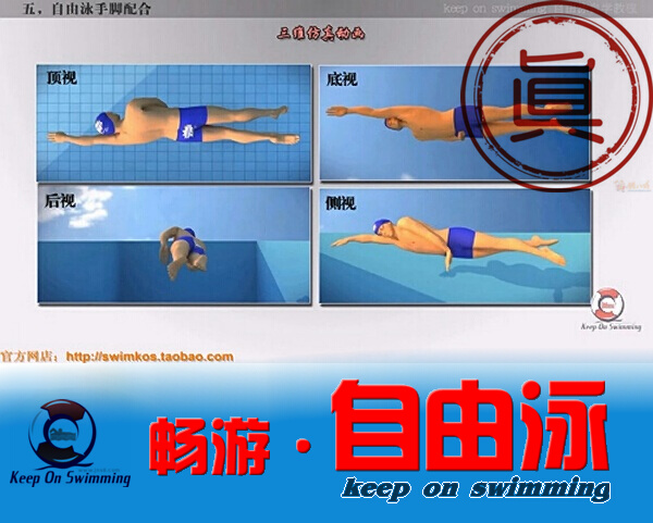 自由泳教学视频-2014年最新中文超清-游泳教程-swim正版DVD