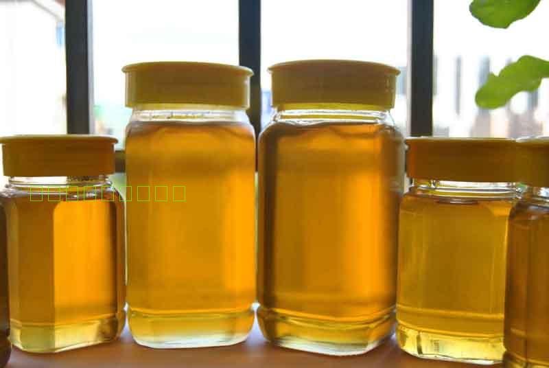 长白山土蜂蜜农家自产 纯天然百花蜜 蜂蜜正品500克/25元