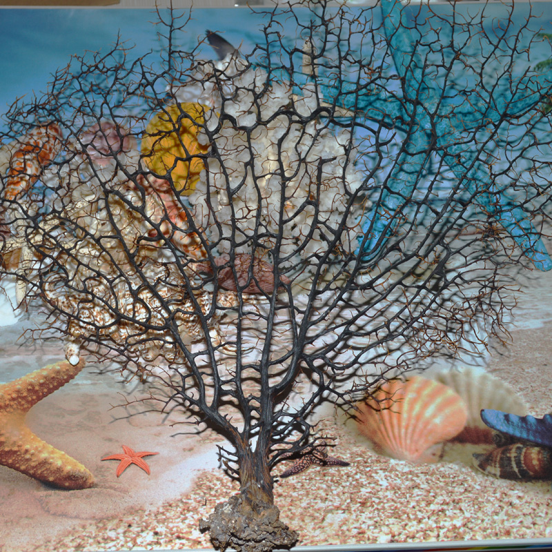 地中海风格珊瑚树天然海树装饰画用料仿真海树个性DIY摆件特价