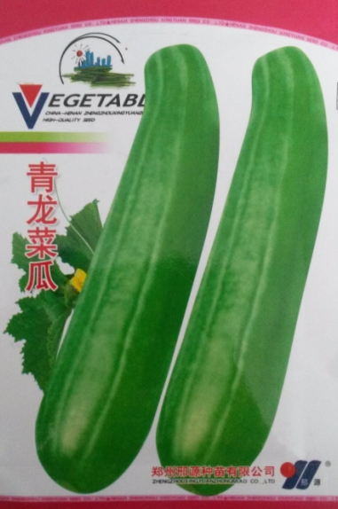 蔬果种子 青龙菜瓜种子 碧绿脆瓜 汴梁脆脆瓜种子减肥佳品5g