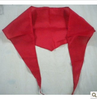 红领巾/1米长红领巾/围巾