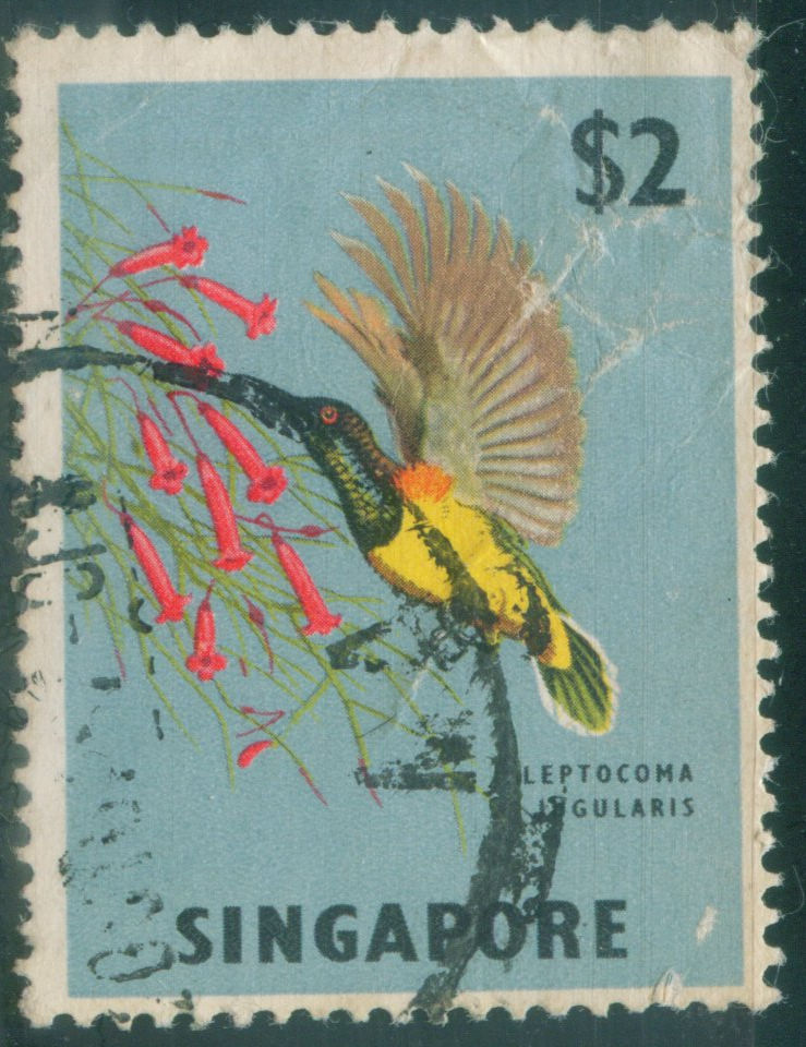新加坡·动植物1962.3.3-1967.5.30（16-15）黄腹花蜜鸟