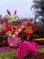 八月十五中秋节国庆节大型道具公园景观摆设物大型泡沫绢花物布置