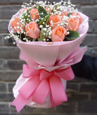 粉色玫瑰11合肥鲜花速递芜湖安庆亳州滁州阜阳宣城六安鲜花店
