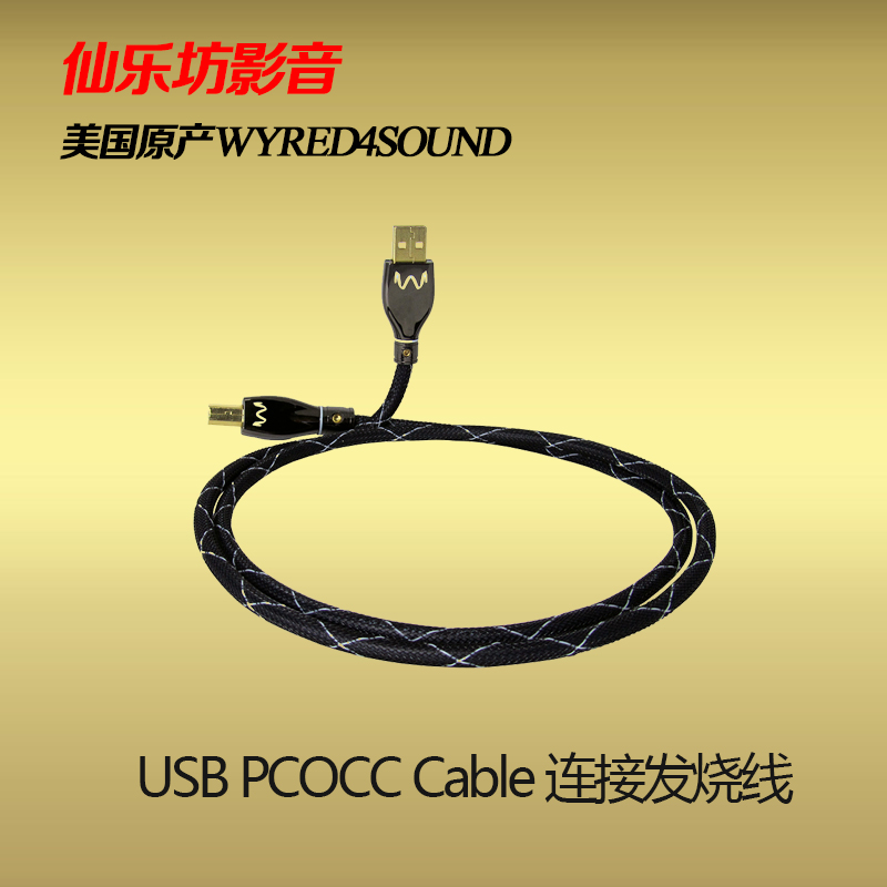美国 wyred4sound USB 1米Cable高级USB连接发烧线  [特价销售]