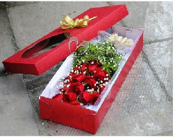 北京梅子鲜花北京鲜花快递生日鲜花爱情鲜花19枝红玫瑰礼盒包装