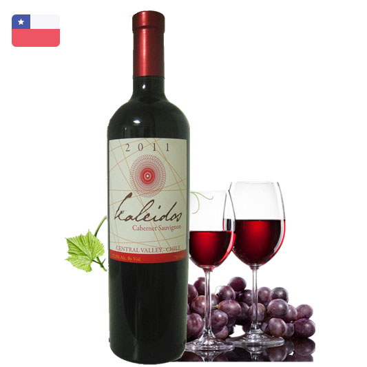 格拉图赤霞珠葡萄酒 智利原瓶进口红酒