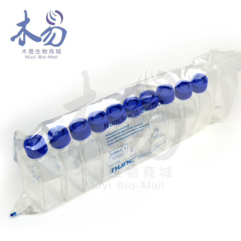 25cm细胞培养瓶 过滤盖透气培养瓶 NUNC 156367 10个/包