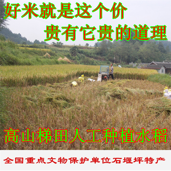 石堰坪高山长粒大米农家种植有机香米非转基因贡米5kg包邮香稻米