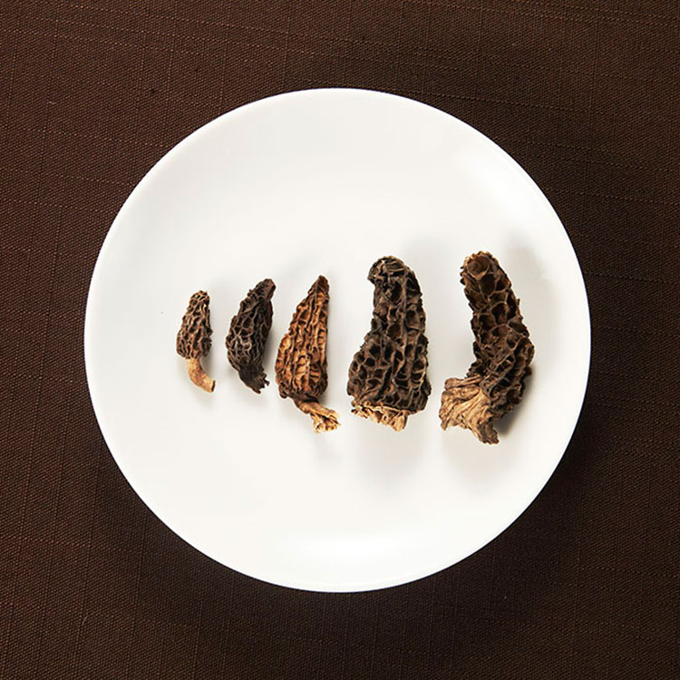 高原野生传统特级极品滋补羊肚菌干货小于3厘米剪泥脚试吃5克起拍