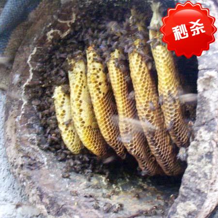 农家木桶野生土蜂蜜纯天然百花蜜美容调理便秘pk新西兰进口蜂蜜