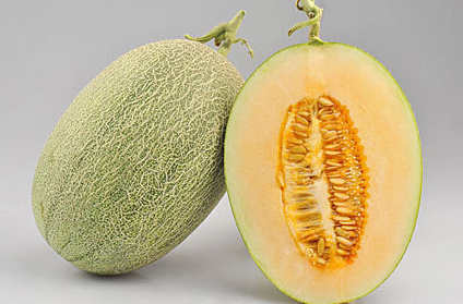 新疆哈密瓜种子巨蜜王青玉甜脆哈密瓜种子实物拍照甜瓜籽 1元10粒
