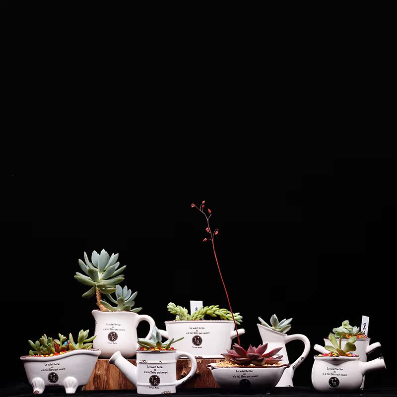 zakka仿古做旧白色陶瓷盆多肉植物花盆创意个性花卉绿植盆栽花器