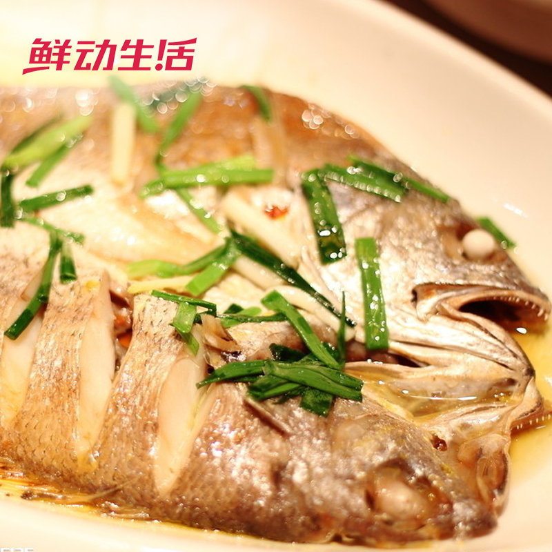 【鲜动生活】福建宁德黄花鱼450g特色水产新鲜正宗黄鱼品质好