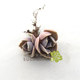 趣味多肉植物  紫珍珠 景天科石莲花属 沙洲绿荫