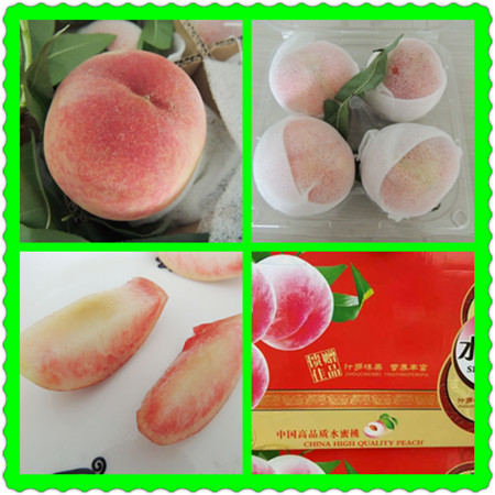拍拍族新鲜水果四川龙泉水蜜桃礼盒装6盒12个限北京包邮