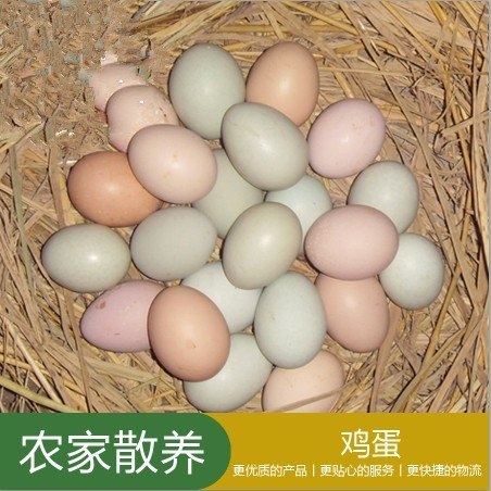 正宗农村散养土鸡蛋笨鸡蛋草鸡蛋柴鸡蛋30枚特价重庆地区包邮