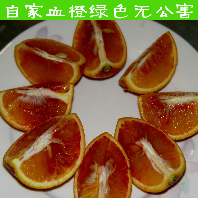 橙子新鲜水果血橙5斤中华红脐橙补血养生促新陈代谢现货产地直发
