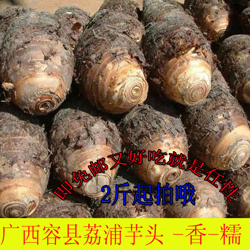 广西容县荔浦芋头山芋香芋有机新鲜蔬菜农家产品贡品芋头包邮