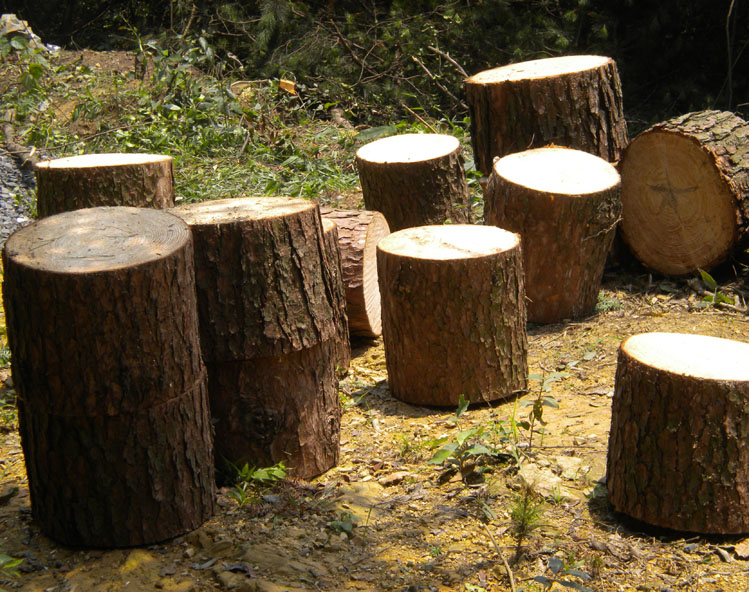 松木根雕凳子 实木墩子 根雕茶几茶桌配套凳子 树墩 原木凳，树根