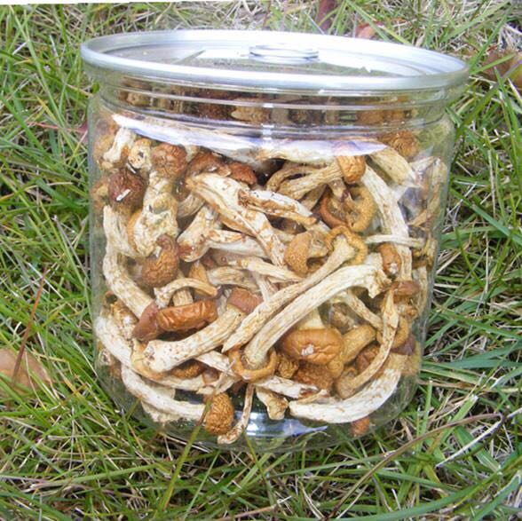 黑龙江省珍珠菇黄油蘑干货特产滑子菇野生食用菌干蘑菇4盒起包邮