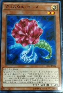 【黑猫卡牌】游戏王-平卡N- 水晶蔷薇 905
