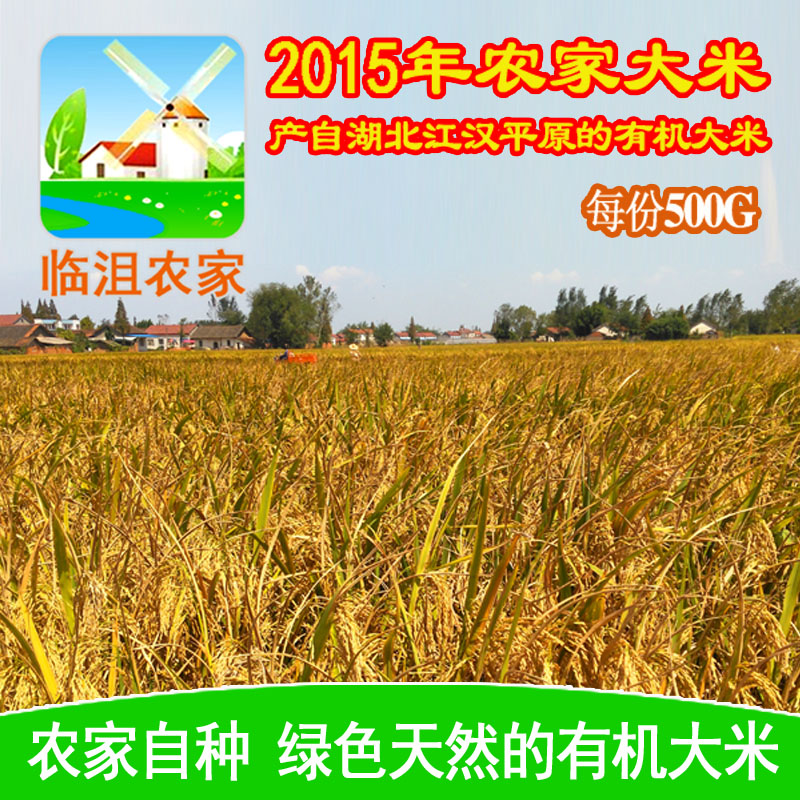 新出的农家大米 2015年秋季新米 有机稻米非转基因 不抛光 包邮