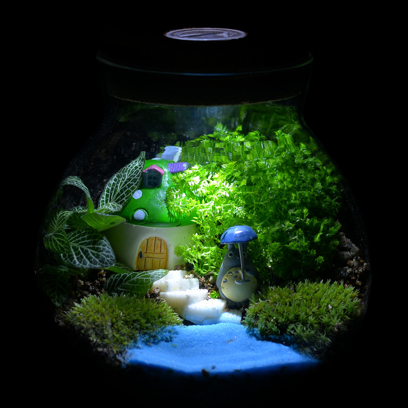 新奇特礼物 苔藓微景观生态瓶 创意迷你植物 办公室绿植盆栽 礼品