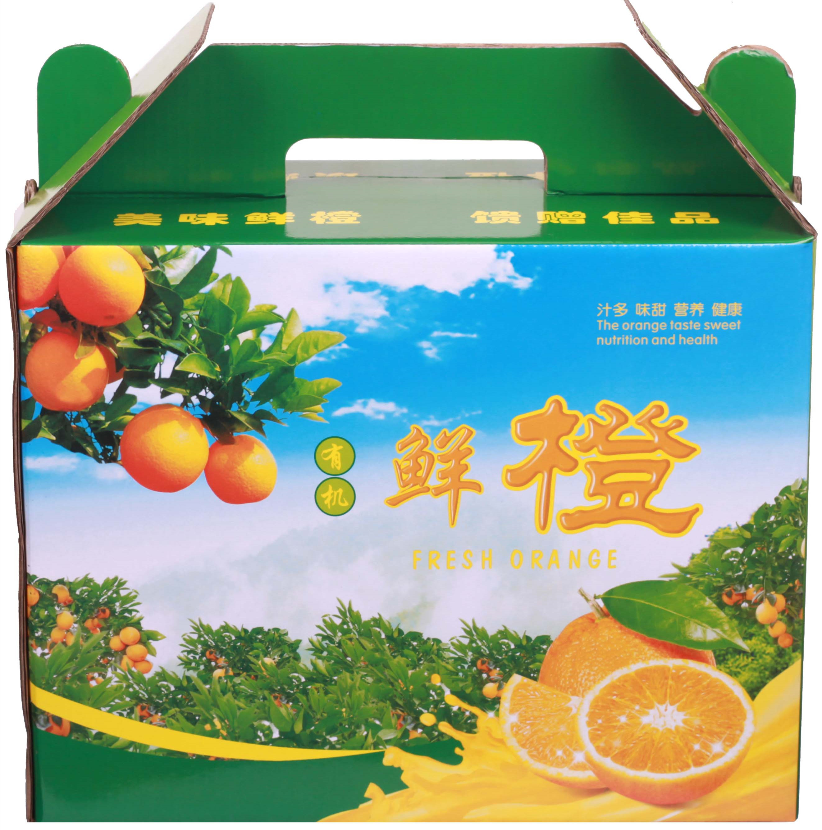 橙子鲜橙脐橙手绿色水果礼品通用包装盒提式包装纸箱10斤装批发