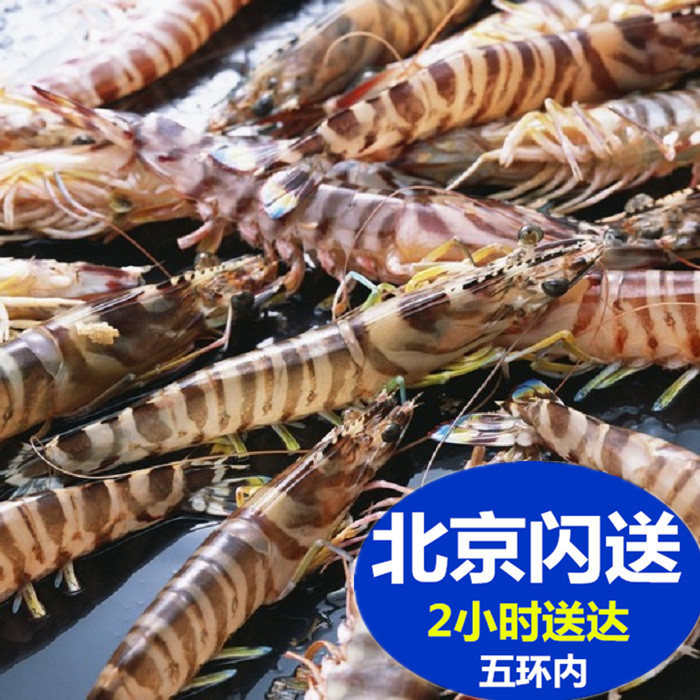 北京闪送 鲜活基围虾 海白虾九节虾竹节虾海虾海鲜明虾活虾500g