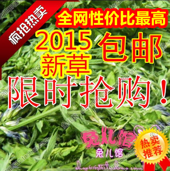 2015年紫花苜蓿草超绿 兔子龙猫牧草兔粮毛重1000克 全国包邮