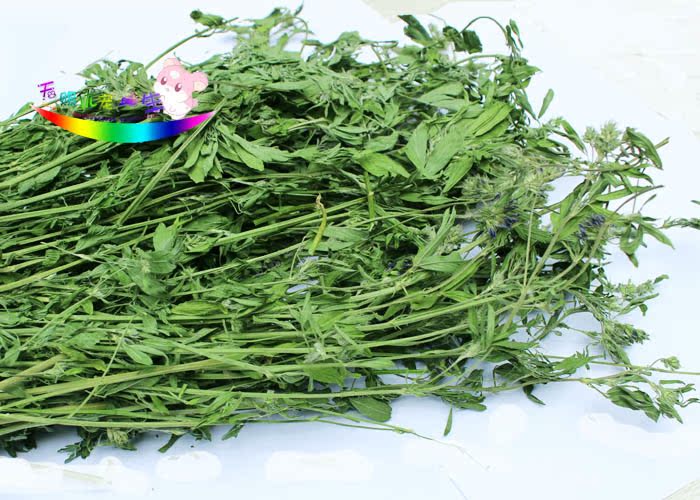 特级紫花苜蓿草1200G兔子龙猫豚鼠牧草鲜香绿干草特价包邮
