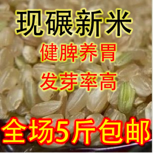 新糙米胚芽米发芽糙米杂粮农家糙米优质粳米250克