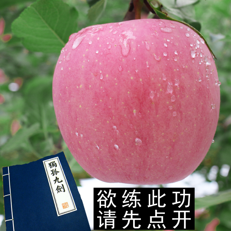 包邮新鲜苹果水果胜烟台苹果礼县苹果冰糖心红富士苹果10斤批发