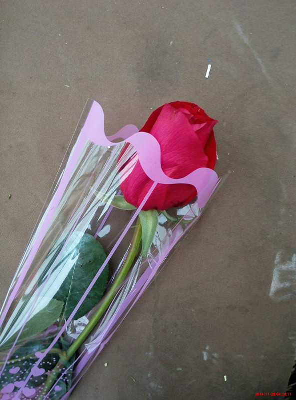 北京玫瑰花鲜花速递红玫瑰花束礼盒七夕女友礼物求婚