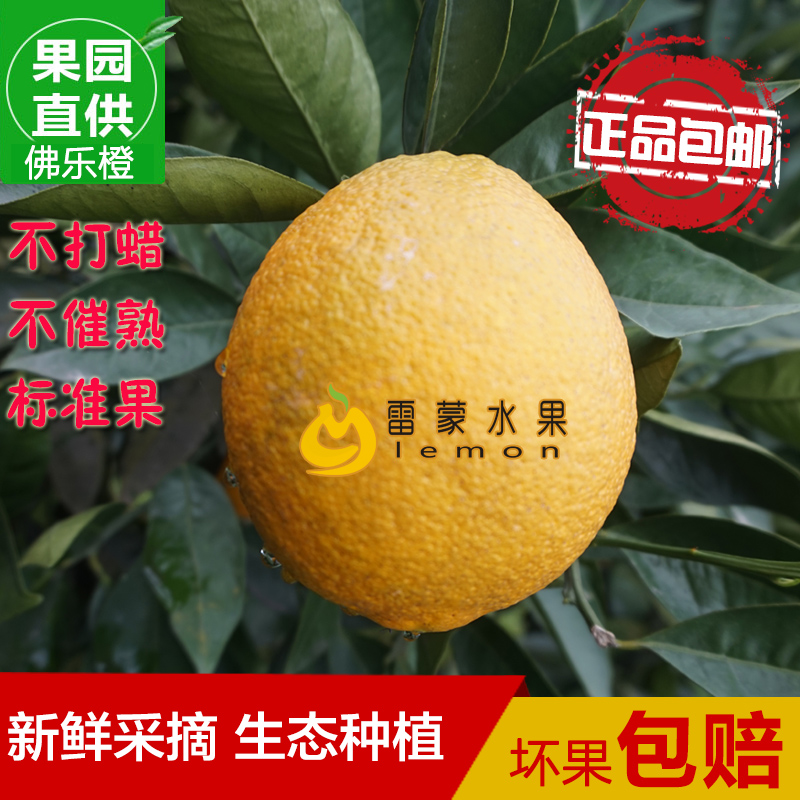 四川佛乐橙甜橙脐橙新鲜采摘生态种植坏果包赔2000g包装特价包邮