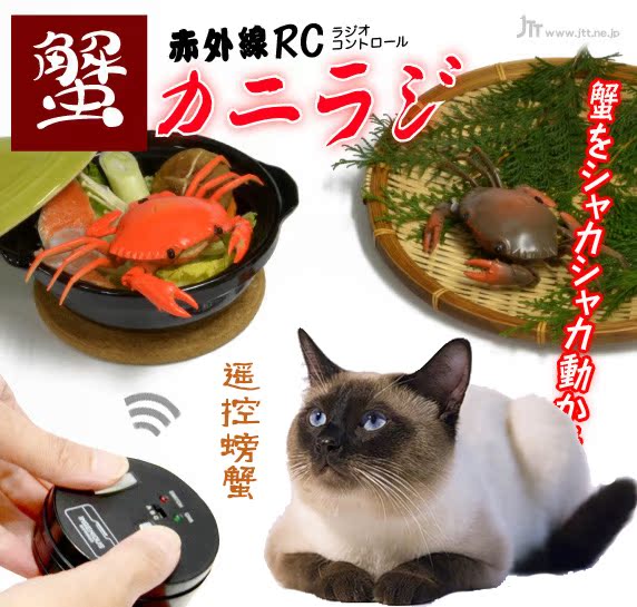 无线电动逗猫狗玩具宠物用品电动遥控螃蟹玩具宠物玩具狗猫玩具