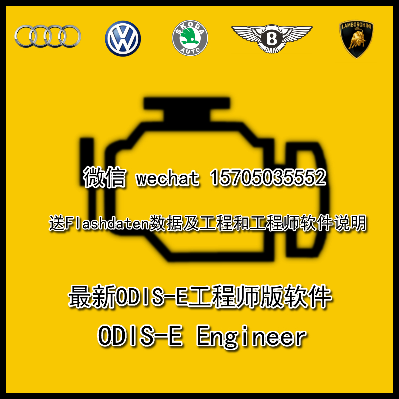 奥迪大众ODIS-E6.2.2ODIS-E6.2.6ODIS6.2.10中文工程师远程安装