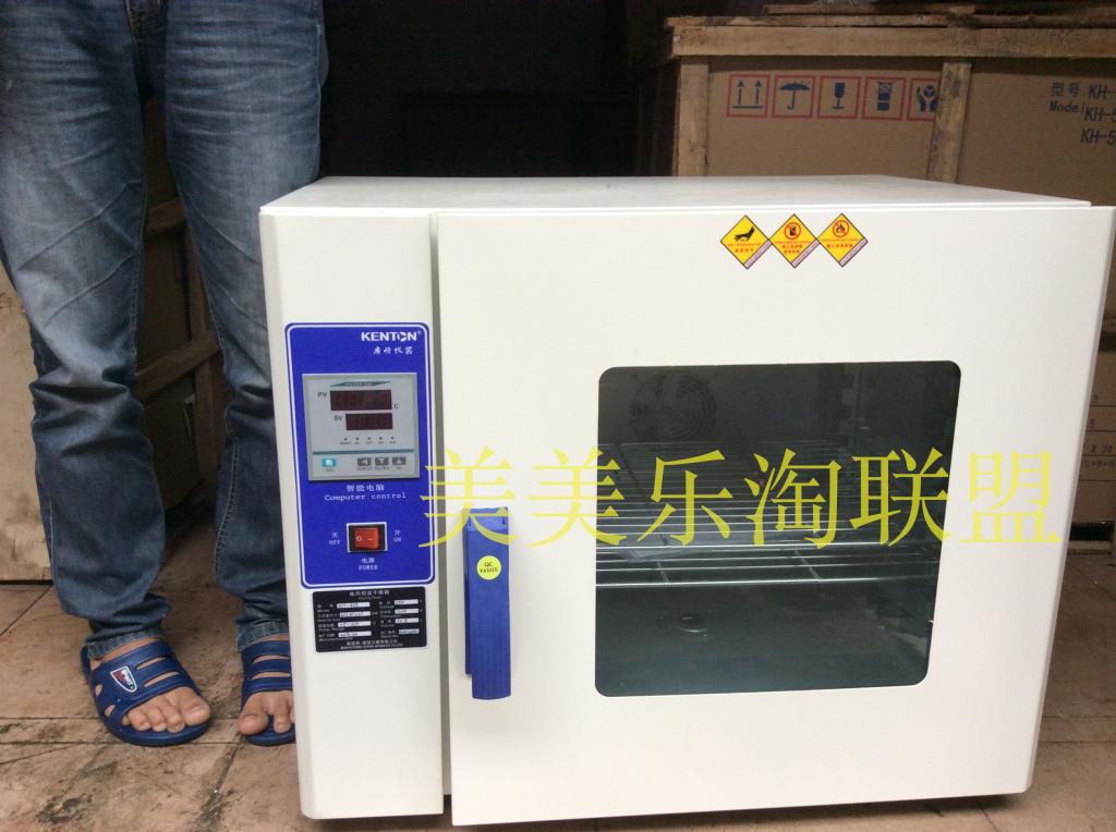 厂家直销定时功能电热恒温鼓风干燥箱 工业烤箱 烘干机 实验烤箱