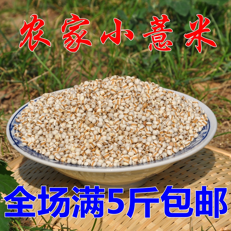 小薏米仁 薏米 有机绿色薏仁米 苡米仁特产农家粗粮 农家自种自产