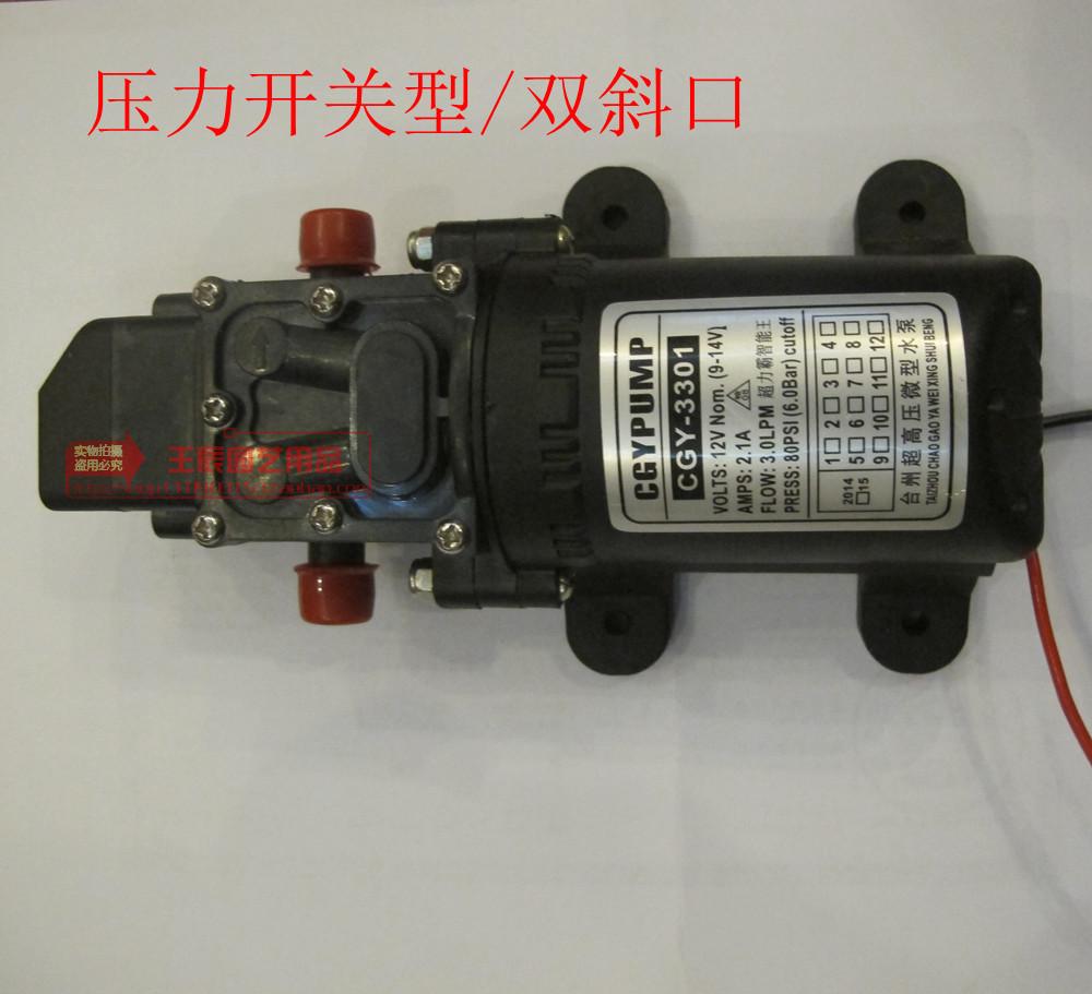 12V微型水泵/洗车高压自吸泵/回流压力开关型水泵/喷雾器电动水泵