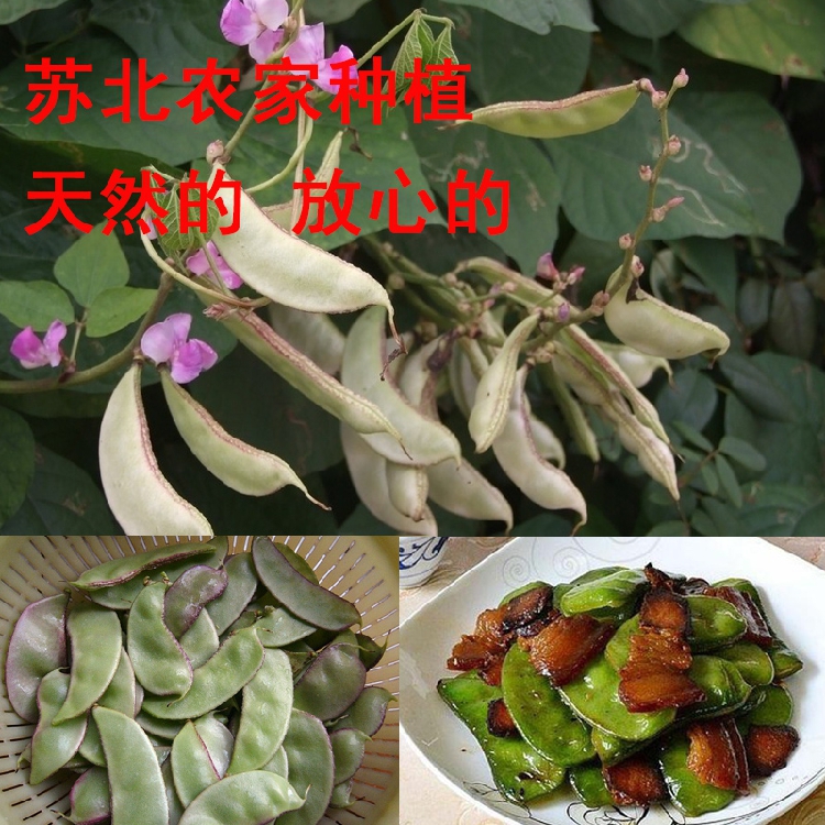 苏北农家 自种自产 扁豆 梅豆角 有机蔬菜 健康食品