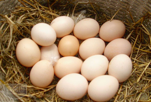 自家丈母娘大人山上散养土鸡蛋500g假一赔十 5斤包邮