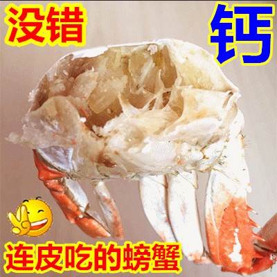 海鲜零食 丹东特产梭子蟹 即食烤螃蟹 蟹肉 休闲食品大闸蟹 特价