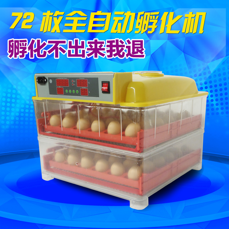 通达全自动孵化机家用型鸡孵化器48枚微型龟蛋孵蛋器包邮孵化箱