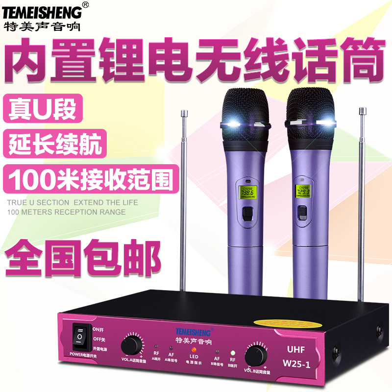 特美声Temeisheng W25-1无线话筒 家用会议录音无线麦克风一拖二